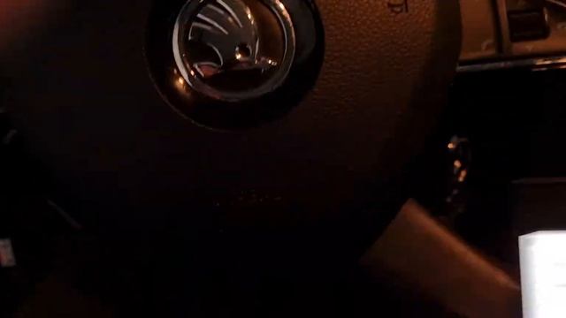 Тест автомобіля колеги. Octavia A7 2013 1.6 TDI  188тисяч. Стук на холодну. 21градус.