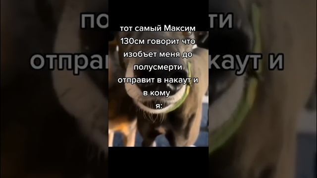 Мем из тиктока #Shorts #юмор #смех #приколы #смешно #прикол #ржака #мемы #мем #смехдослез