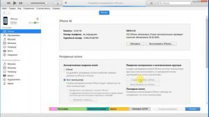 Как перенести с Iphone информацию на новый Iphone через tunes