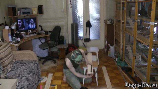 Изготовление домика лабиринта для дегу. смотреть онлайн