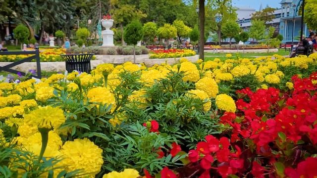 Парк «Цветник» смотреть онлайн