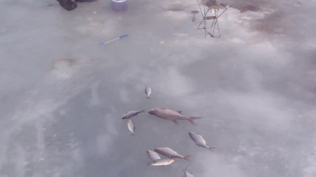 Зимняя рыбалка. Веселовское водохранилище. смотреть онлайн