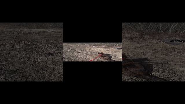 Кошка едет в велопоход с палаткой! смотреть онлайн