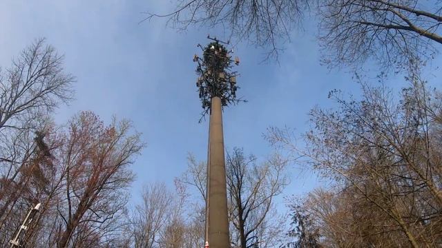 ЖИЗНЬ НА ОБОЧИНЕ смотреть онлайн