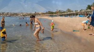 Шарм Эль Шейх. Novotel Palm 5* Обзор отеля