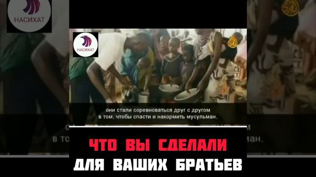что вы сделали для ваших братьев? #коран #ислам #quran #мусульмане смотреть онлайн