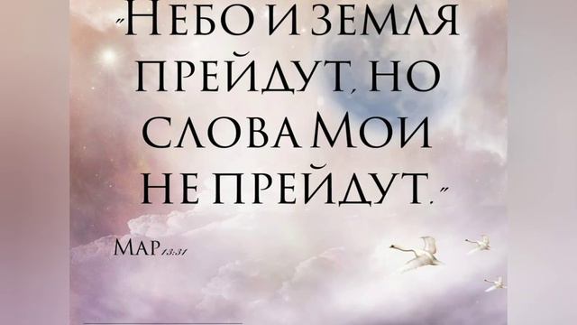 The grace of god/ Милость бога📖 смотреть онлайн