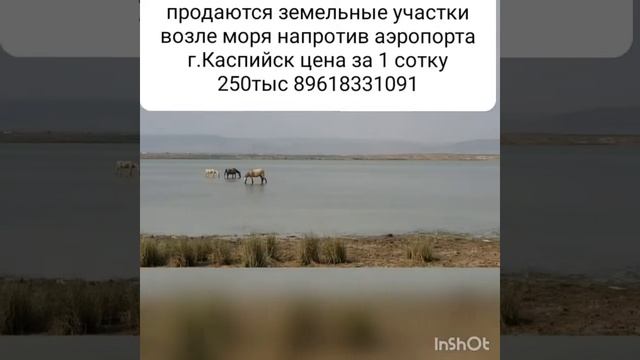 Продажа земельных участков на берегу каспийского моря г.Каспийск 8961-833-10-91 смотреть онлайн