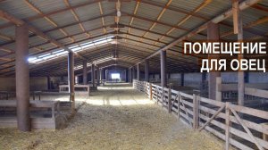 Устройство кошары. СПК Племзавод Ромашковский.