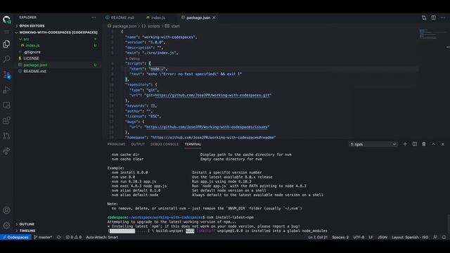 Github Codespaces | How update the NPM and NodeJS versions with NVM and use it смотреть онлайн
