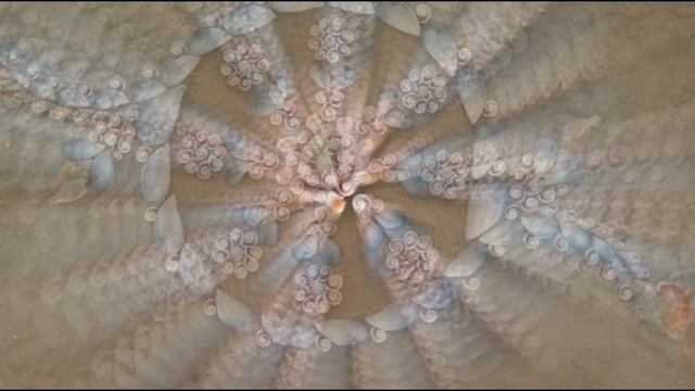 МЕДИТАЦИЯ НА НОВОЛУНИЕ ? Медитация на изобилие и увеличение Благосостояния смотреть онлайн