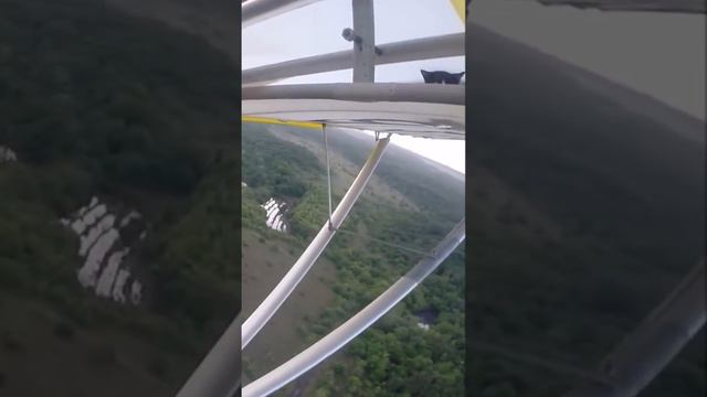 Кот на крыле самолета 1 часть смотреть онлайн