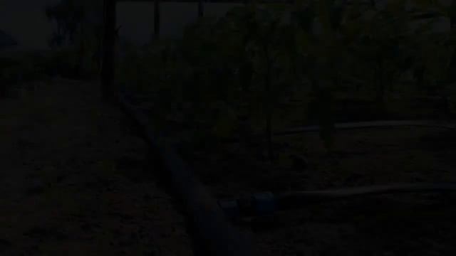 Капельный Полив Для Деревьев