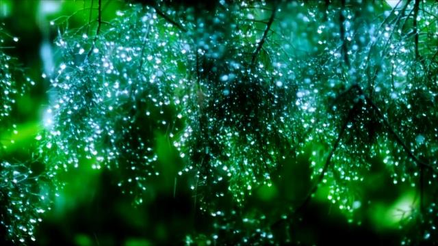 30 MINUTES Calming Music + Soft Rain Sounds: Sleep Music • Relaxing Music • Meditation • Yoga • Spa смотреть онлайн