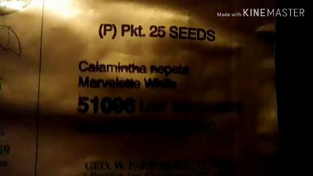 A Gift Of SEEDS!! смотреть онлайн