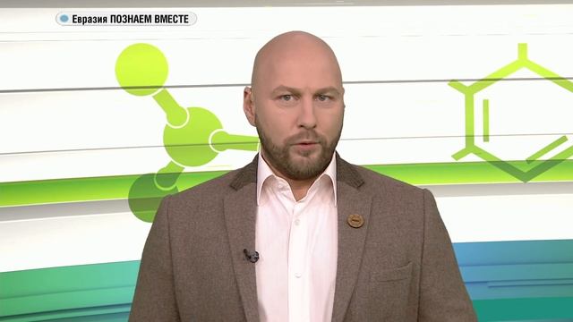 Собаки оказались очень умными животными. (Евразия познаем вместе) смотреть онлайн