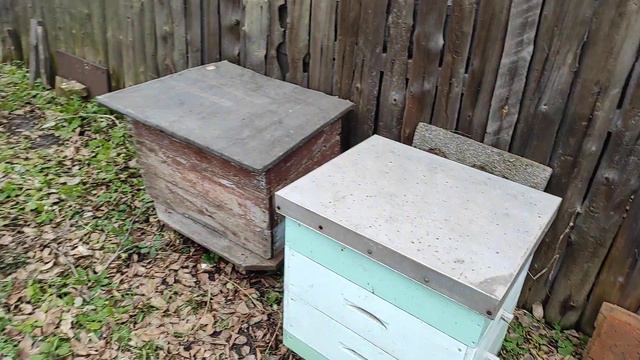 Облёт пчел в январе. 02.01.23