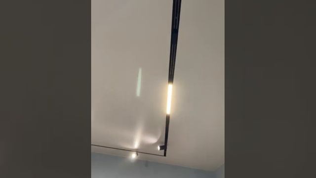 Натяжной потолок с треками #натяжныепотолкиотзывы #натяжнойпотолок #потолкиспб смотреть онлайн