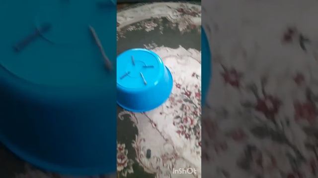 Тест минилаб кватро.