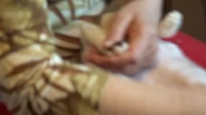 Девон рекс. Гигиена.