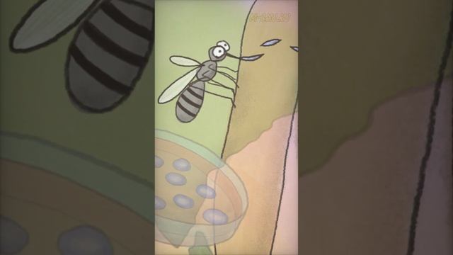 Лесные Приключения