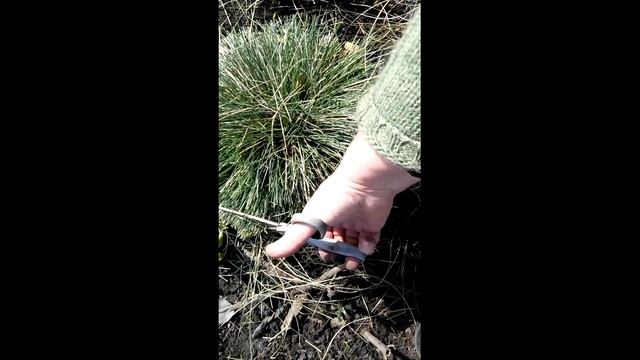 На даче. Весенние работы в цветнике.