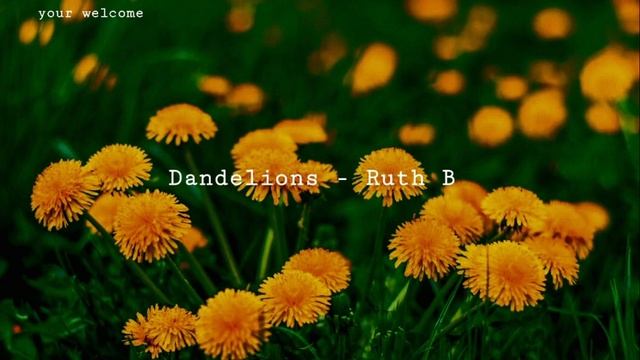Dandelions-ruth b (slowed and reverb 8D audio and muffled) смотреть онлайн