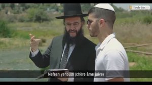 Shana Tova (reprise Bella Ciao)