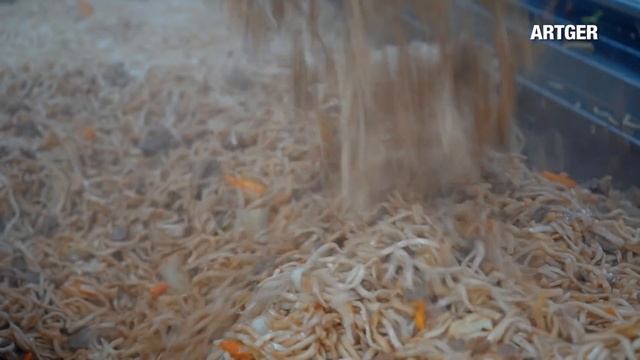 How To Feed 6000 Mongolian Miners Every Day - Mongolia's Biggest Kitchen In The Gobi! | Views