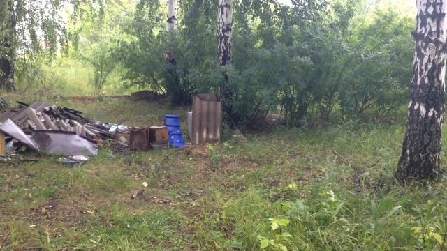 Ружье Аккар Алтай 12GA (травматик,пуля,дробь) смотреть онлайн