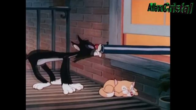 Лучшие приколы за февраль 2019 / gif / mycoubs #6 смотреть онлайн