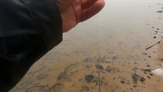 Хотели половить Тиляпию, а клевали Щуки. Рыбалка на спиннинг в Удомле. смотреть онлайн