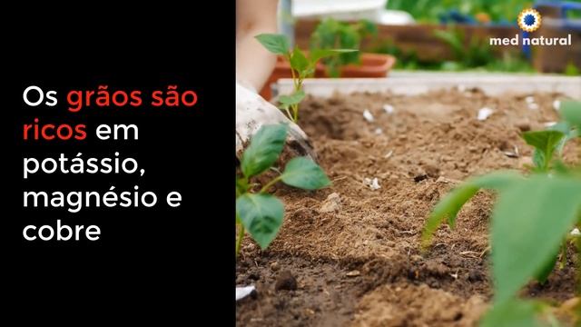 O que ela passa nas pernas é algo que todos nós temos, mas ninguém usa смотреть онлайн