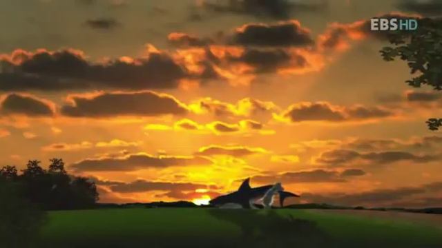 Bernard Bear Episode 1 смотреть онлайн