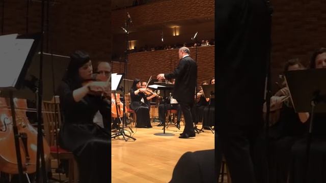 Золушка. Прокофьев. Гергиев смотреть онлайн