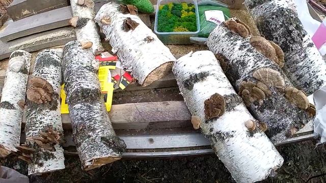 Композиция в эко-стиле для оформления веранды,беседки,камина #декорсвоимируками,#садовыйдекор,#сад смотреть онлайн