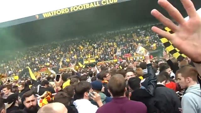 Watford FC pitch invasion смотреть онлайн
