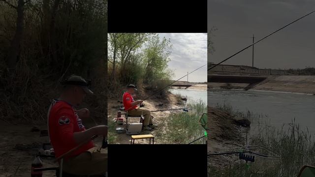 Улугшуркуль хива балик ови bōri tog' da baliqdomiz #rek #top #uzbekistan #rekomendasi смотреть онлайн