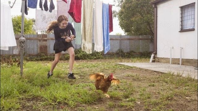 Kак куры помирили нас с соседями. Свидетельство Веры Мартыновой. смотреть онлайн