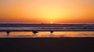 Fausto Papetti - 15 Exitos (Recopilación de Saxofón)