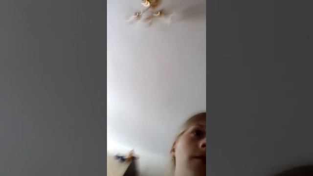 Пробуем жвачки:-) смотреть онлайн