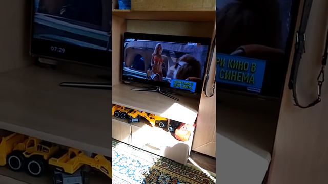 Птица матерится. На. Английском!!! смотреть онлайн