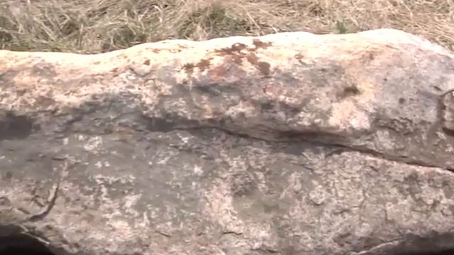 Самарка и Гомати в творениях Волхвов смотреть онлайн