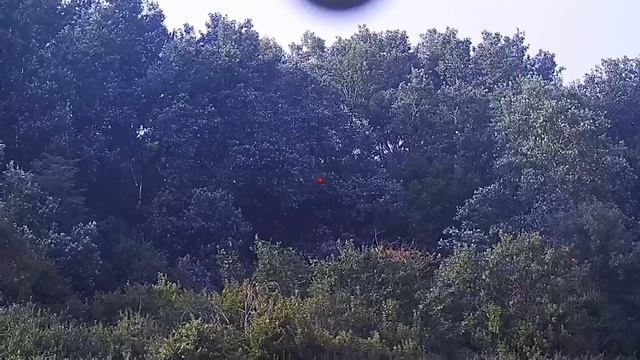 Тренировка на стенде с ShotKam смотреть онлайн