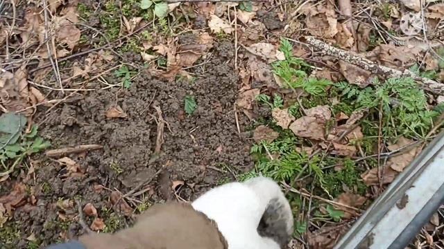 Просто коп. смотреть онлайн