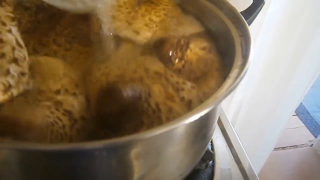 Руководство К Мастерству