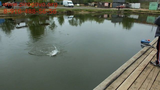 Рыбалка на платнике в Пирогово смотреть онлайн