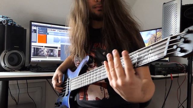 Infected Rain - Sweet, Sweet Lies Cover Ibanez EHB1505MS смотреть онлайн