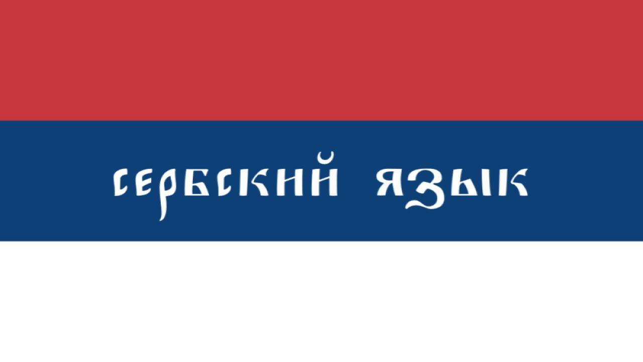 16. Сербский в прямом эфире