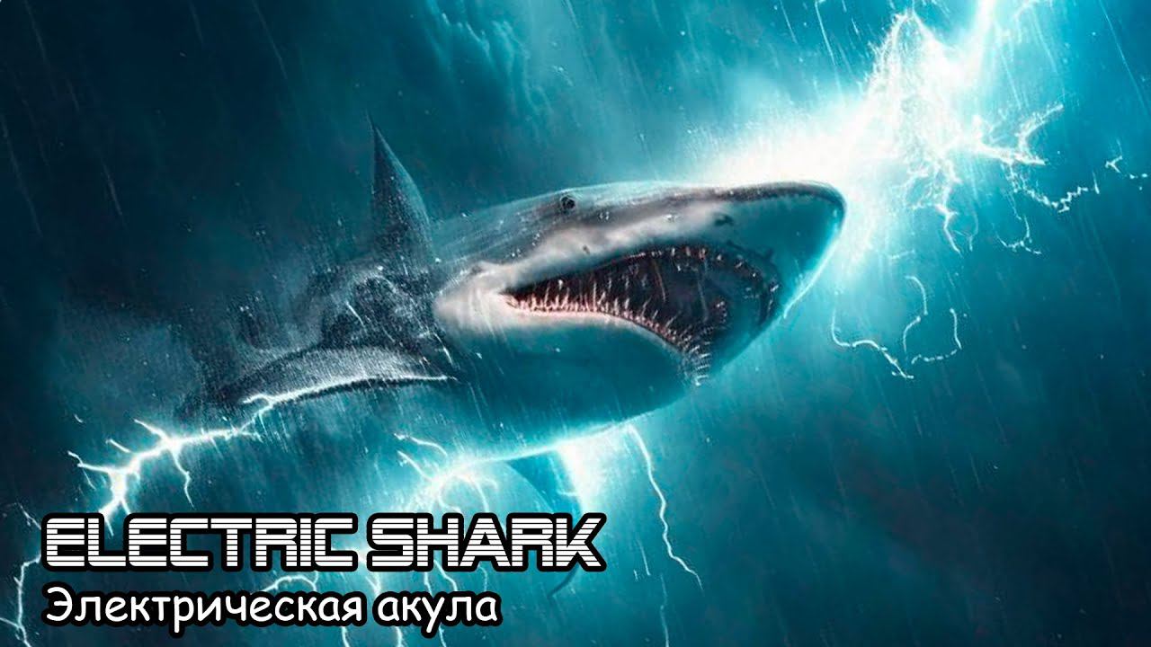 Электрическая акула (2020) Короткометражный фильм смотреть онлайн